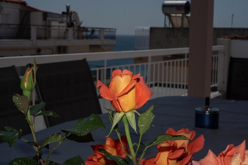 Grcka Reni Greece Beach Penthaus 3 Nea Kallikrateia Dış mekan fotoğraf